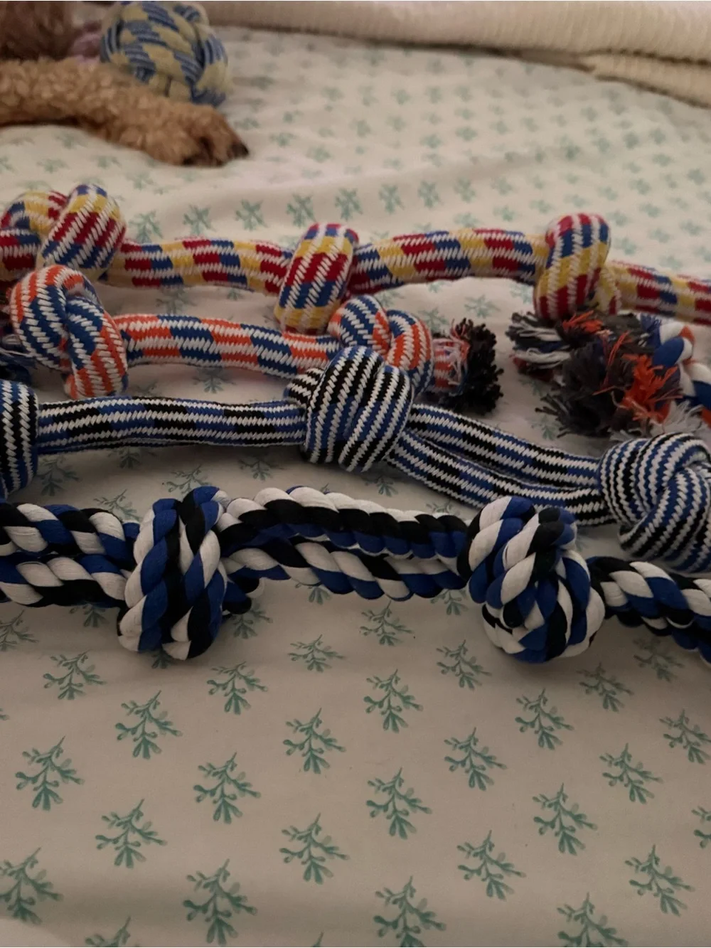Dogs Multicolor Rope Knot Dog Toys - Blue, White, Red, Yellow-set of 5-NWOT